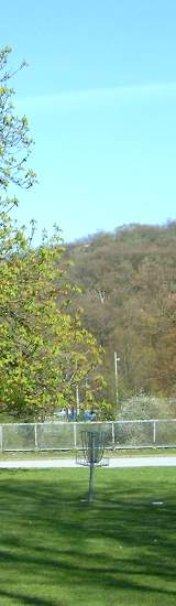 Bild på discgolfkorg i Slottskogen