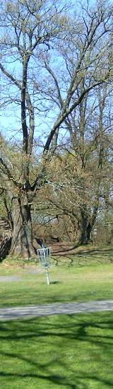 Bild på discgolfkorg i Slottskogen